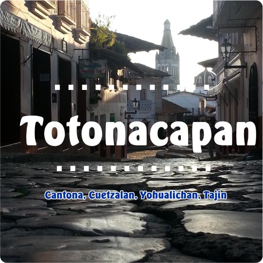 toto1 toto1